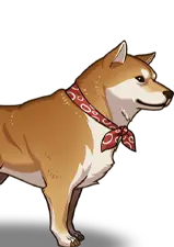 Shiba